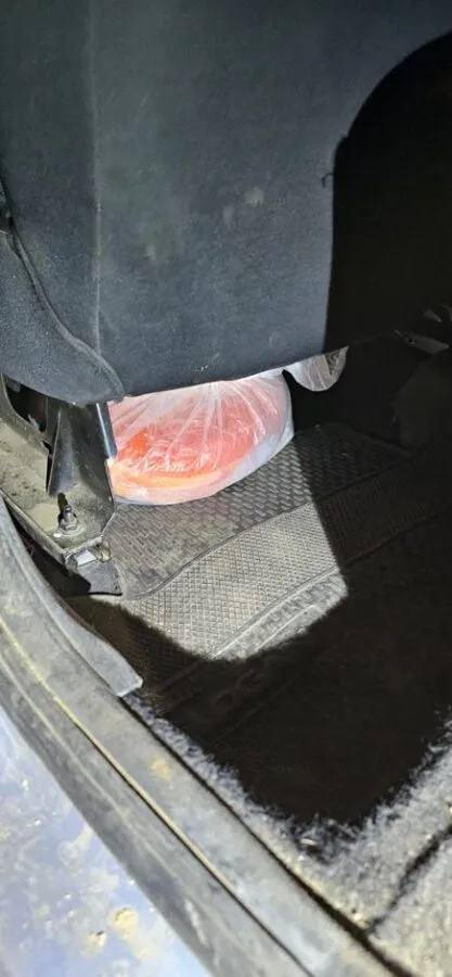 Pescadores Furtivos 2