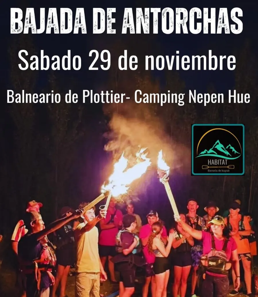 WhatsApp Image 2025-11-27 at 11.10.54