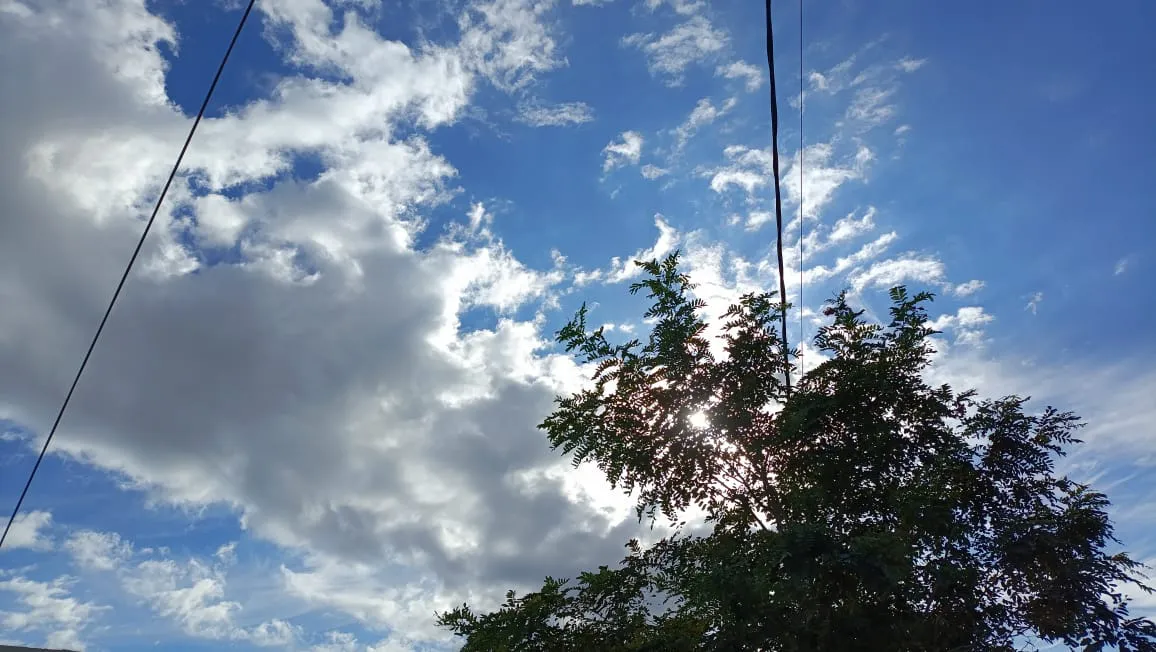 WhatsApp Image 2025-03-14 at 10.10.17