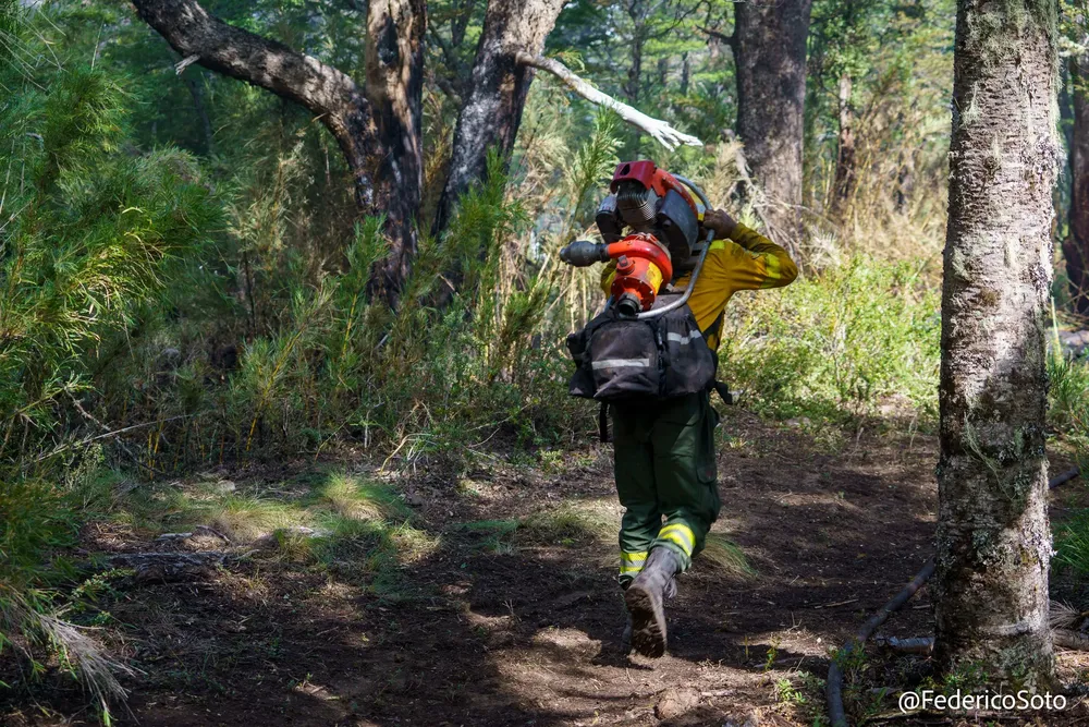 480222426_933451002300716_7883547414607756872_n