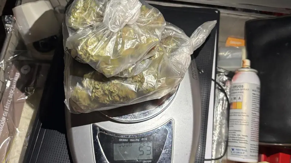 1765560181_9445b686ffeb0480a013