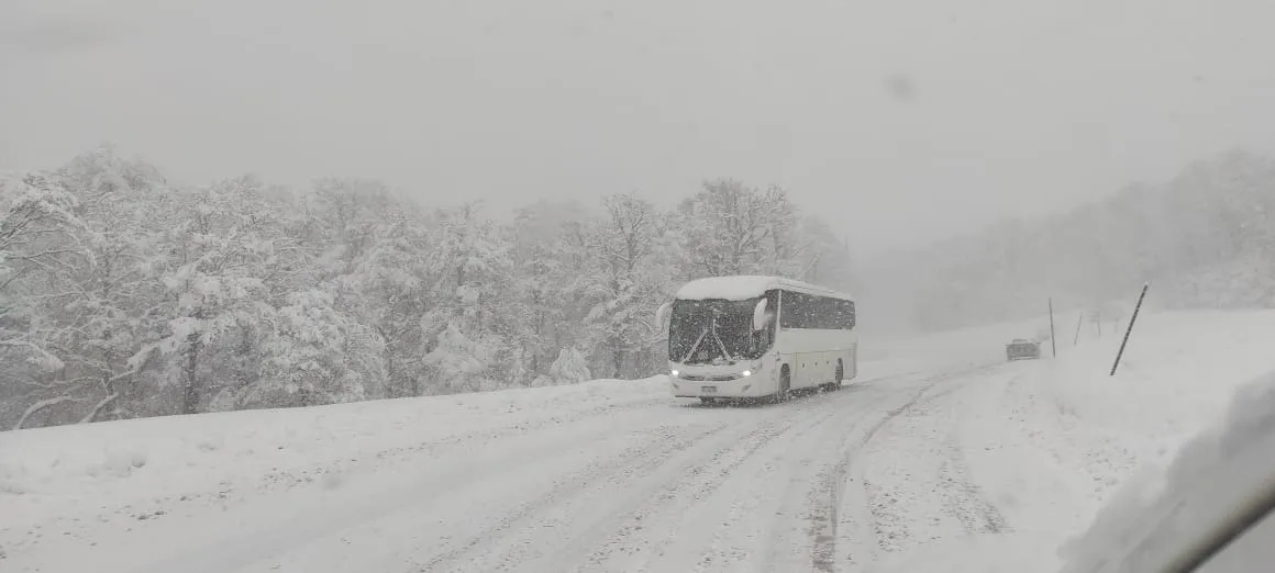 WhatsApp Image 2025-08-21 at 14.49.29