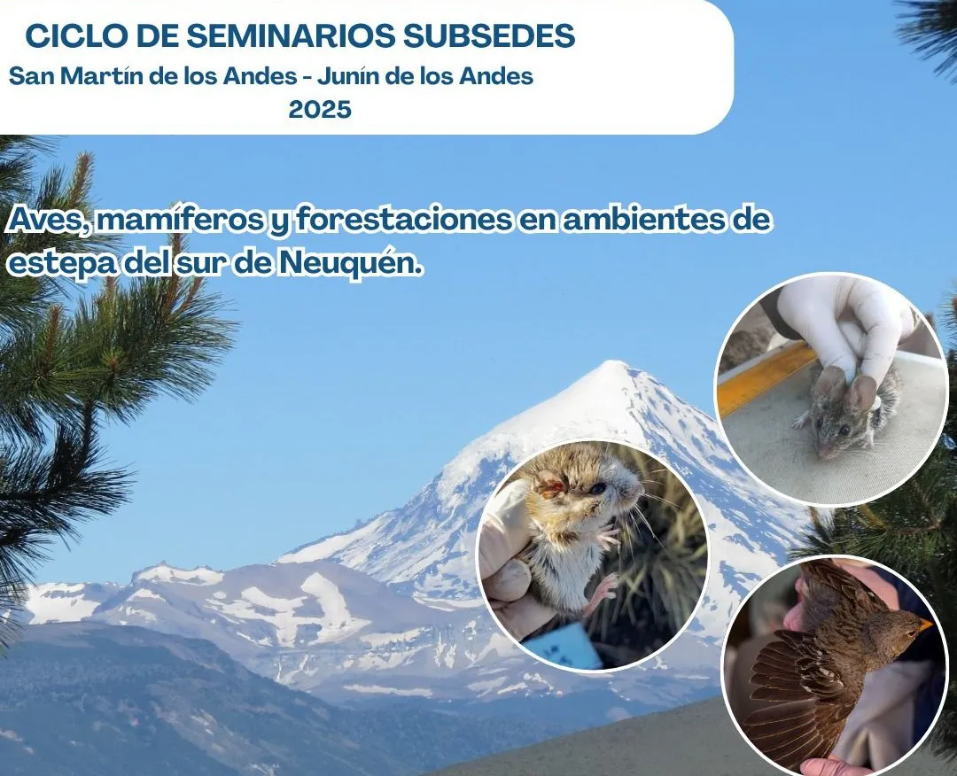 580845293_1239073341574333_2990527748975200894_n