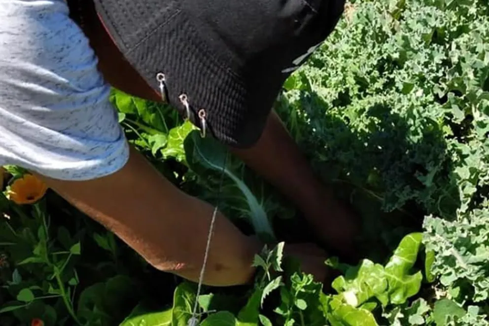 md - 2025-12-26T111726.066