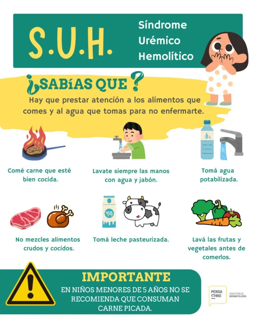 suh-819x1024