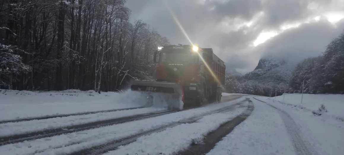 d0edec01-c5dc-419d-98ad-a041ffed6f7e