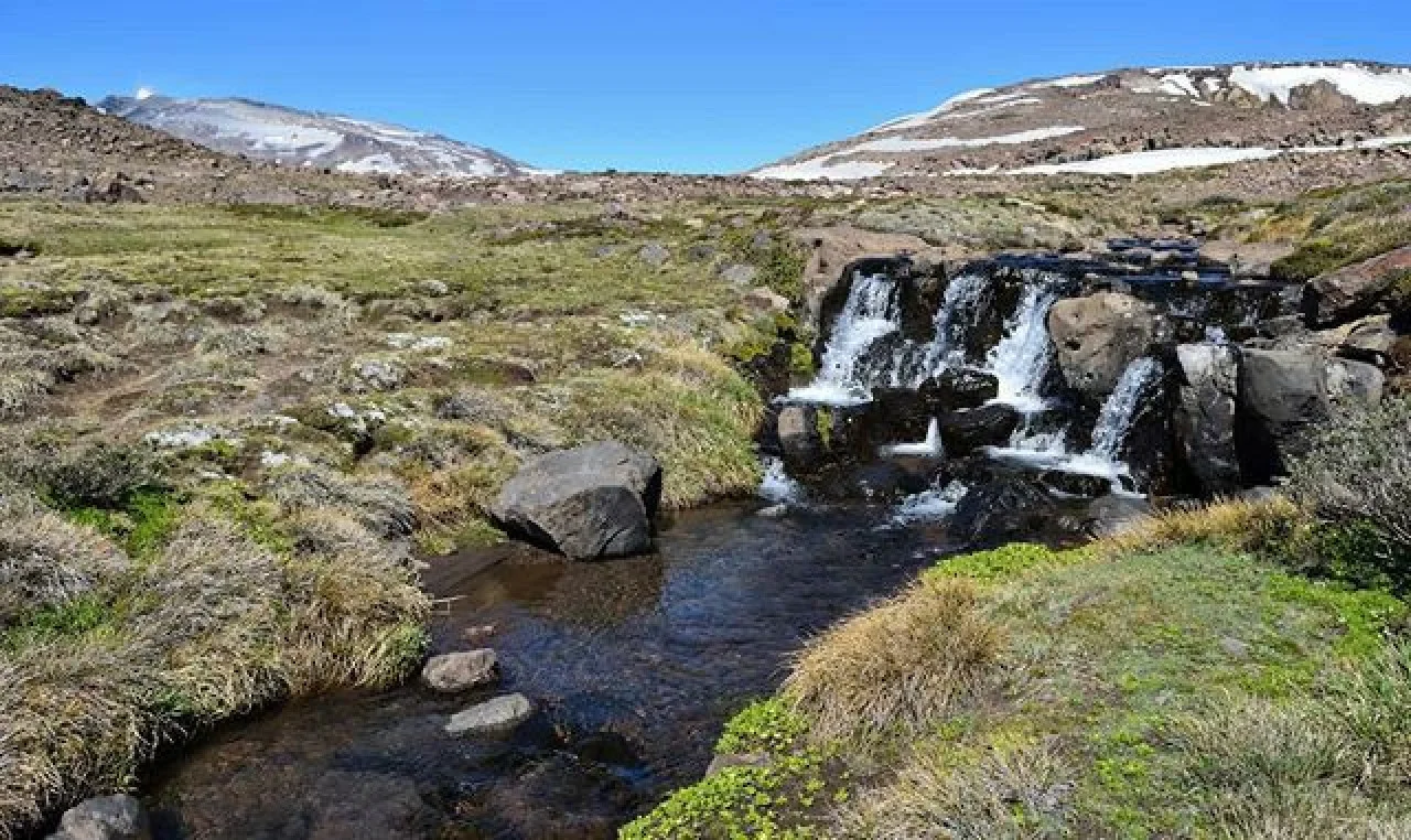 Caviahue copahue