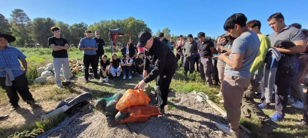 WhatsApp Image 2026-04-06 at 10.54.14 (1)