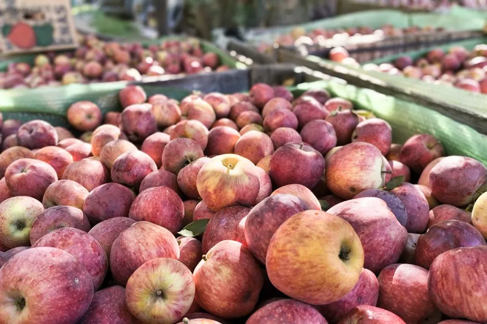 md - 2026-03-13T190108.871