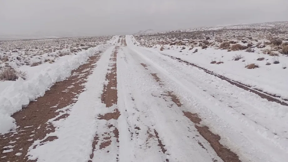 WhatsApp-Image-2024-08-20-at-23.13.25