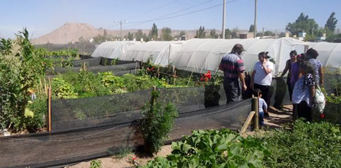 WEB-Plan-Agricultura-Familiar-51-1170x578