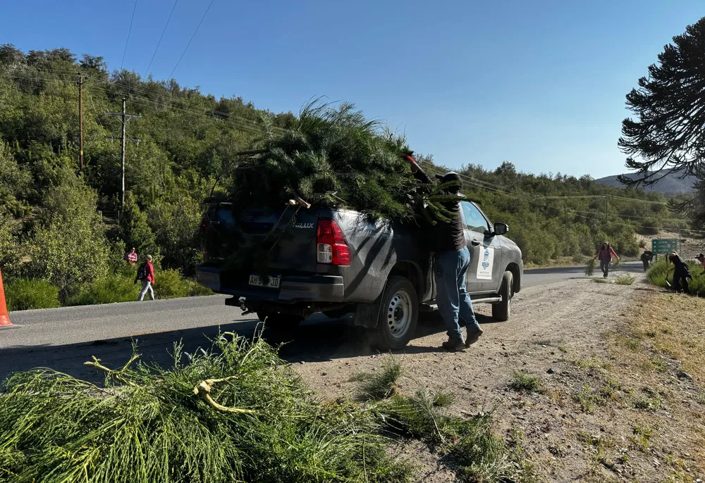 WhatsApp Image 2026-01-17 at 13.27.09