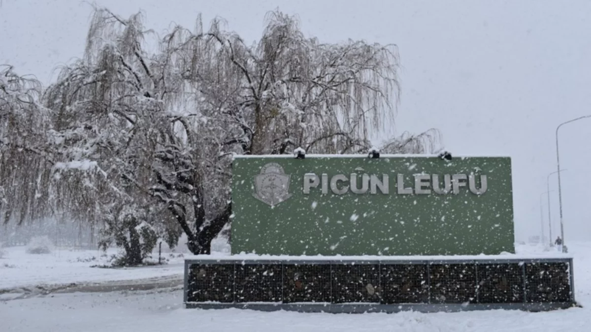 Picun-Leufu-Neuquen-nieve-2025