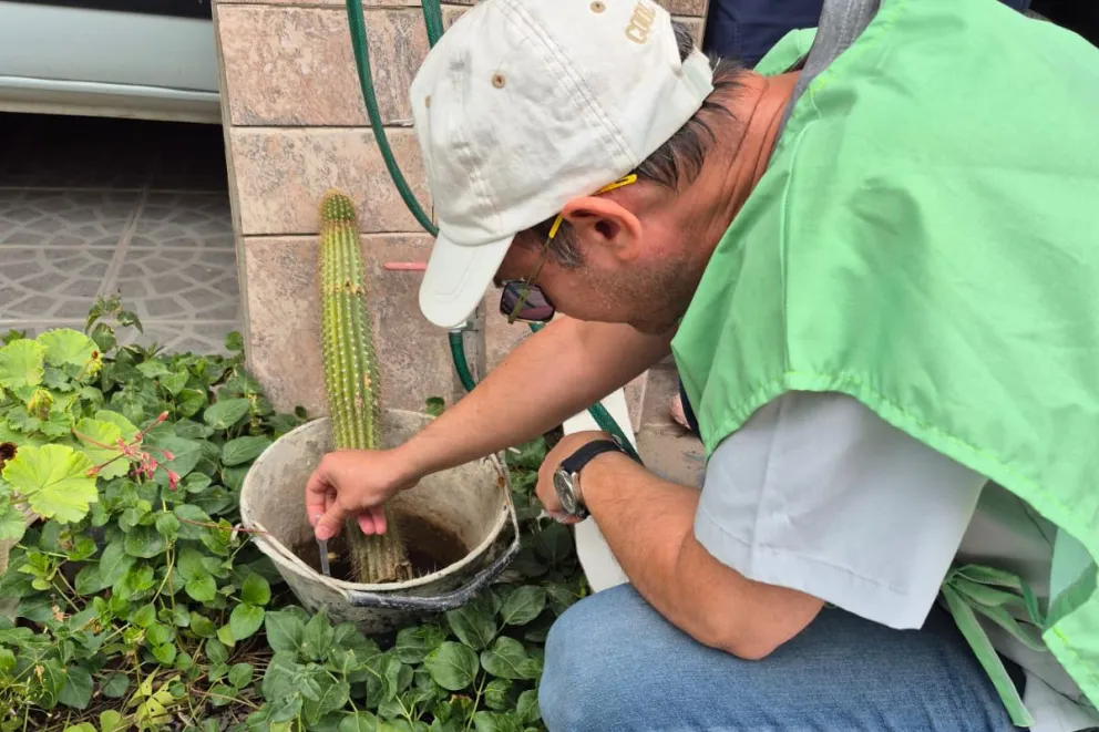 md - 2026-01-23T103023.283