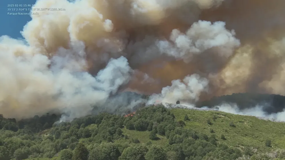 af7a40e2-eb05-4dcf-bc13-e8faabe0db32