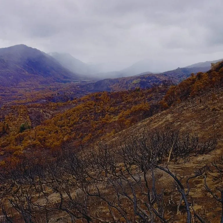 f768x1-786226_786353_5050