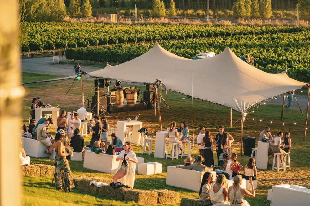 Bodega Malma_3
