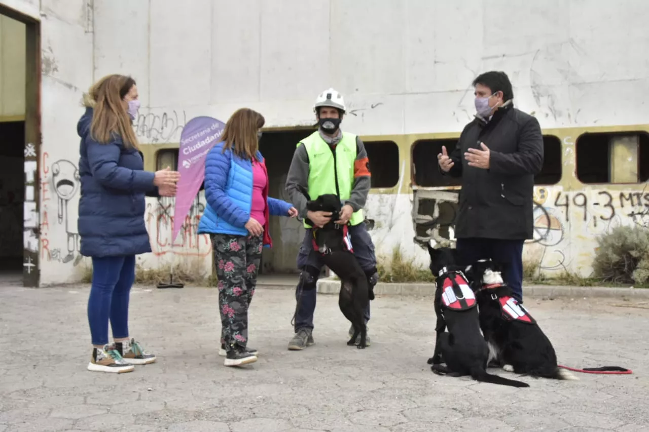 Perros Municipalidad