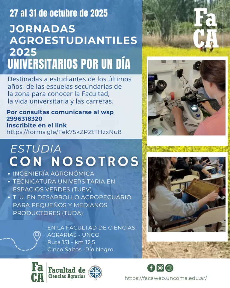 Diseno-sin-titulo-768x960