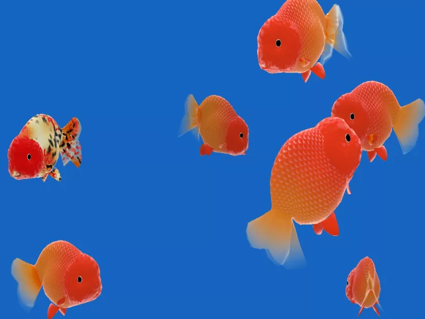 peces