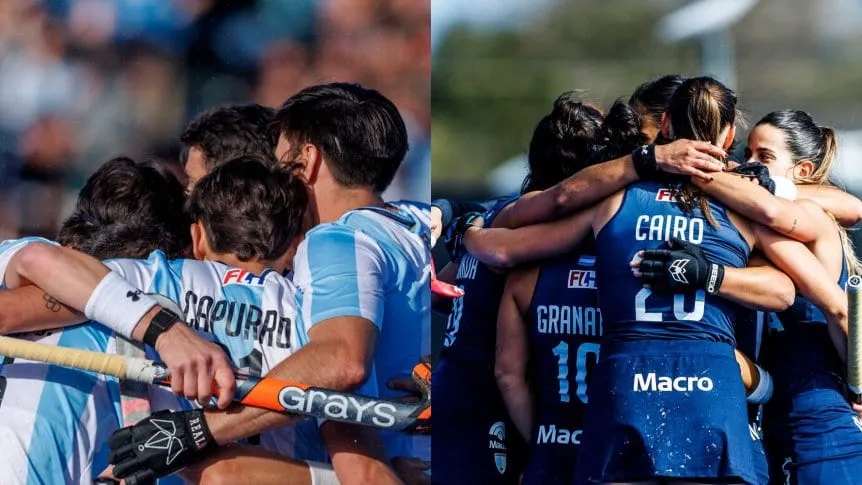 los-leones-y-las-leonas_862x485