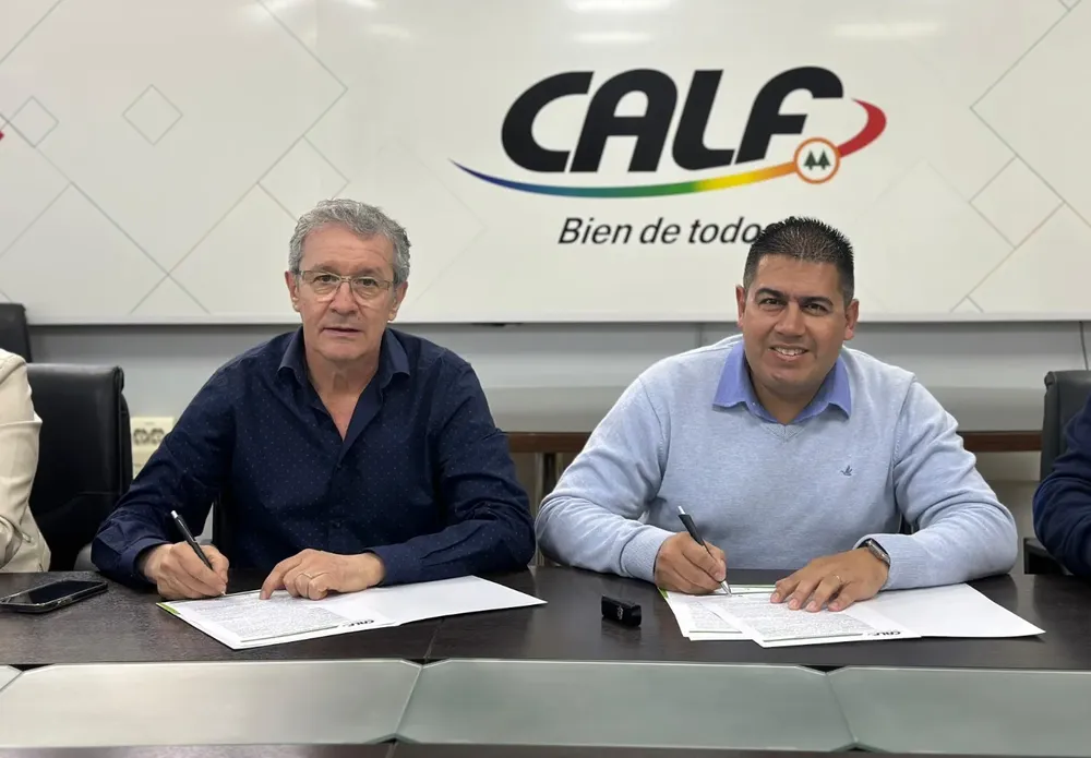 convenio Calf