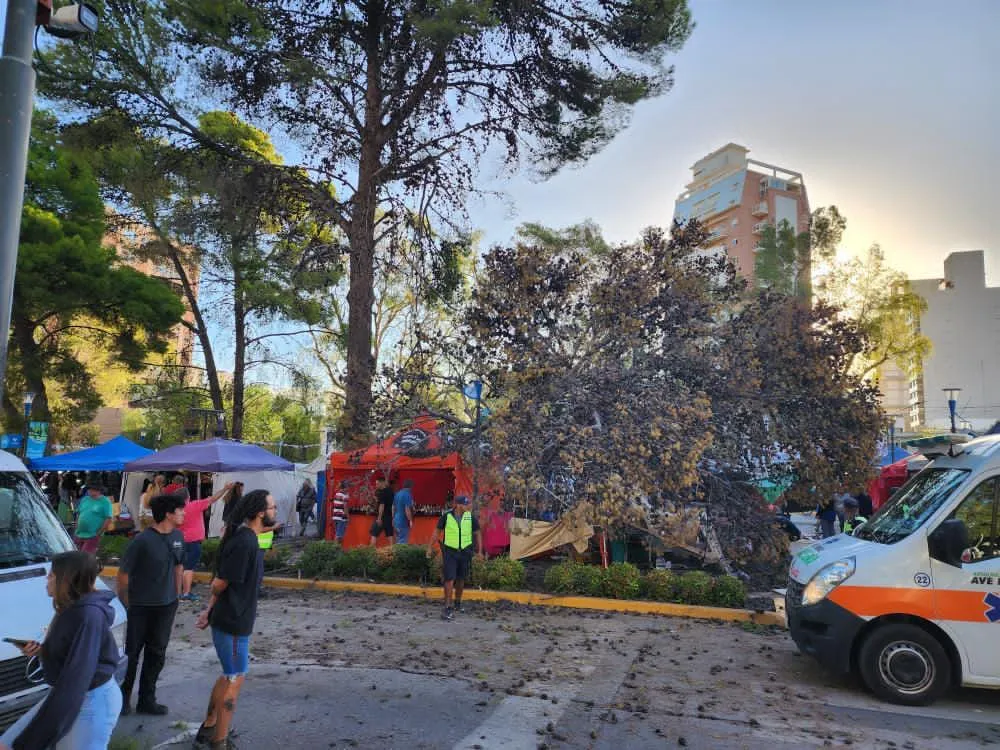 WhatsApp-Image-2025-03-07-at-19.18.59-1