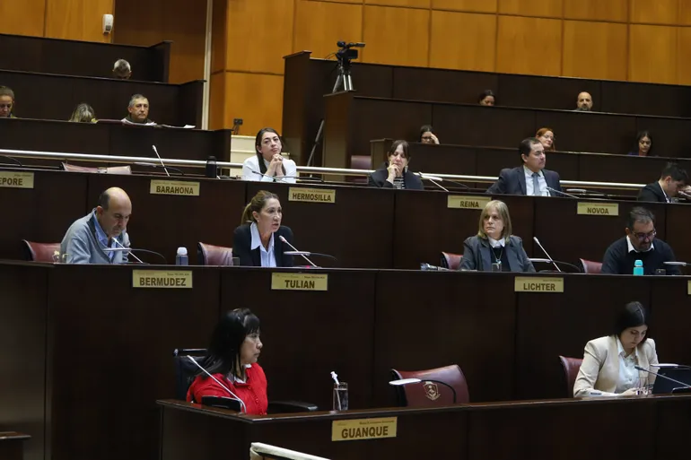 legislatura-incentivo-docente