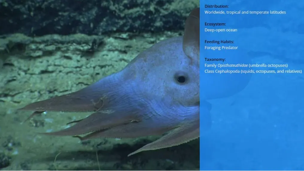 Opera Captura de pantalla_2025-08-06_212411_www.cadena3.com