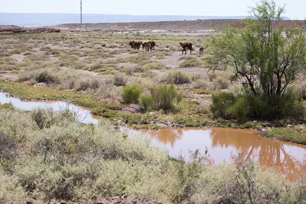 md - 2026-02-14T102907.777