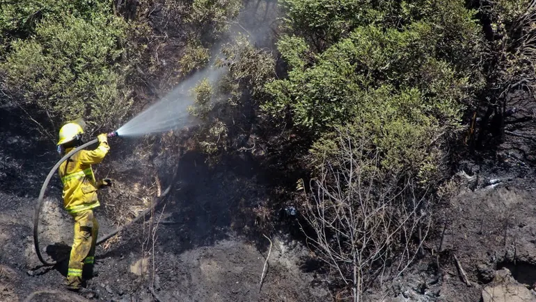 incendio-forestal-san-martin-los-andesjpg (1)