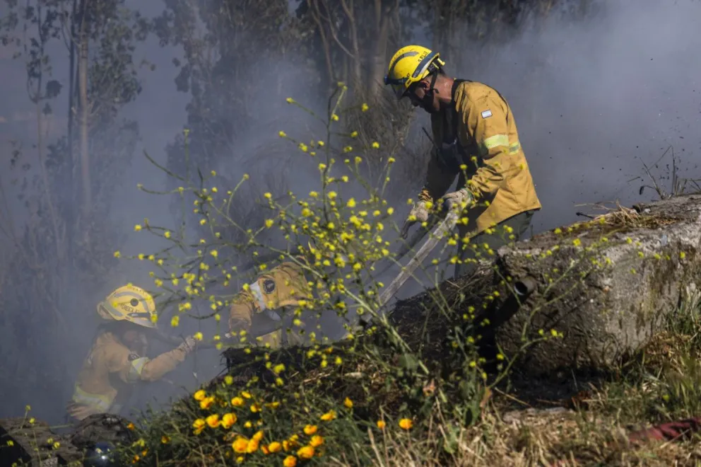 md - 2026-02-05T225303.396