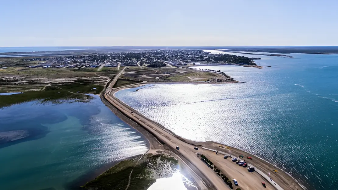 1768590217_96982d75988748e3d910