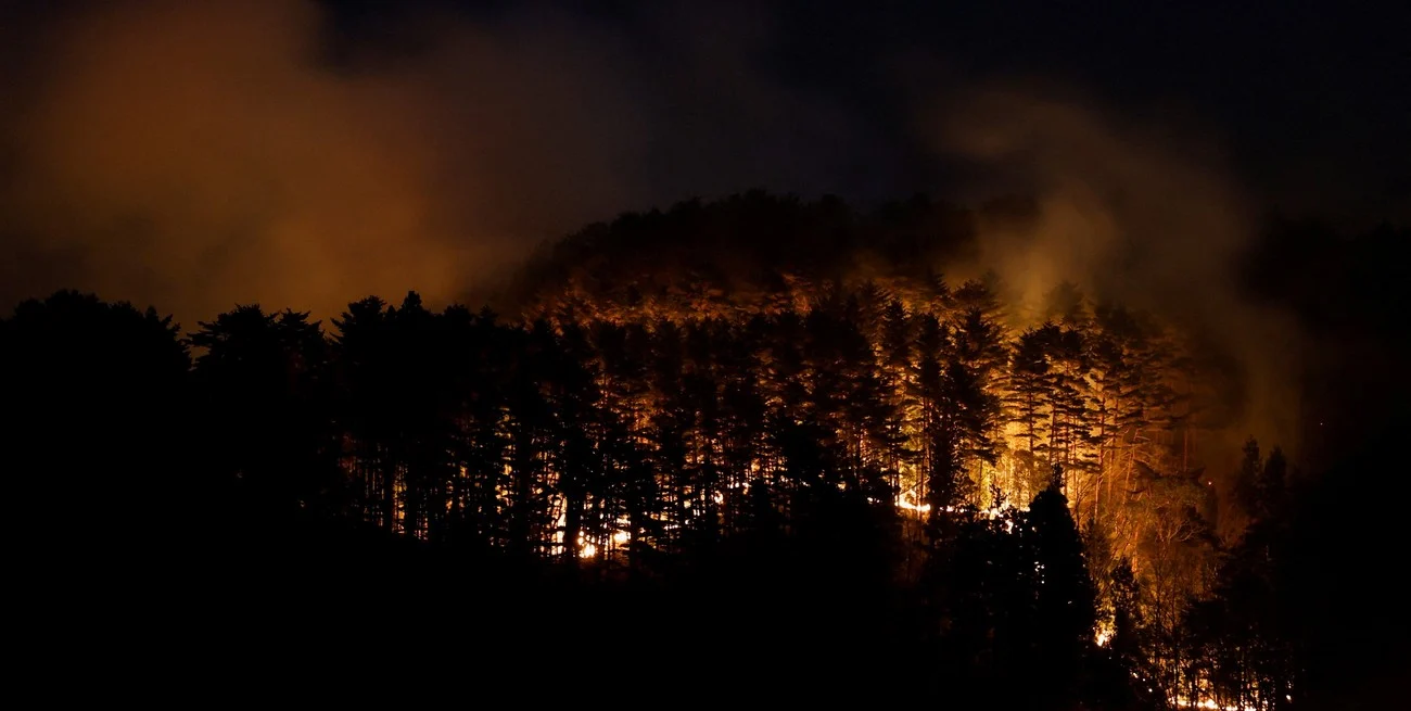 jwcSrldYZ_1300x655__1 (1)