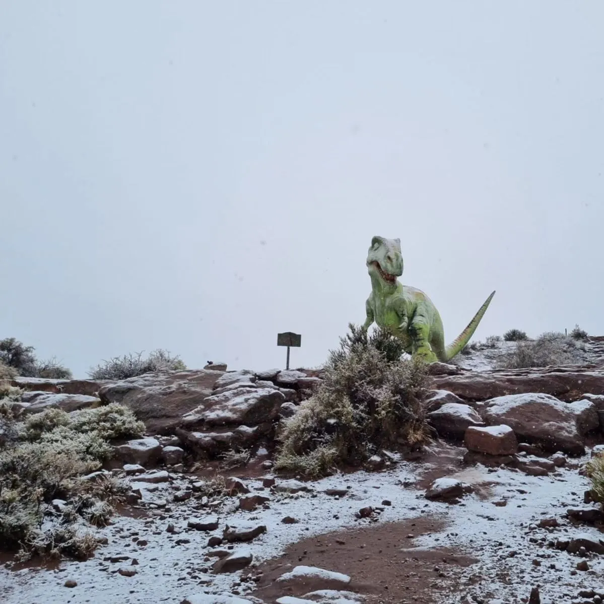 Nieve en El Chocón