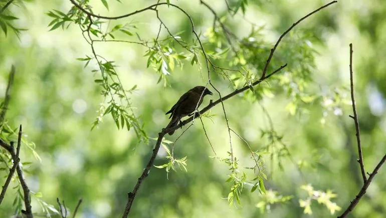 am-jardin-botanico-plottier-4jpg