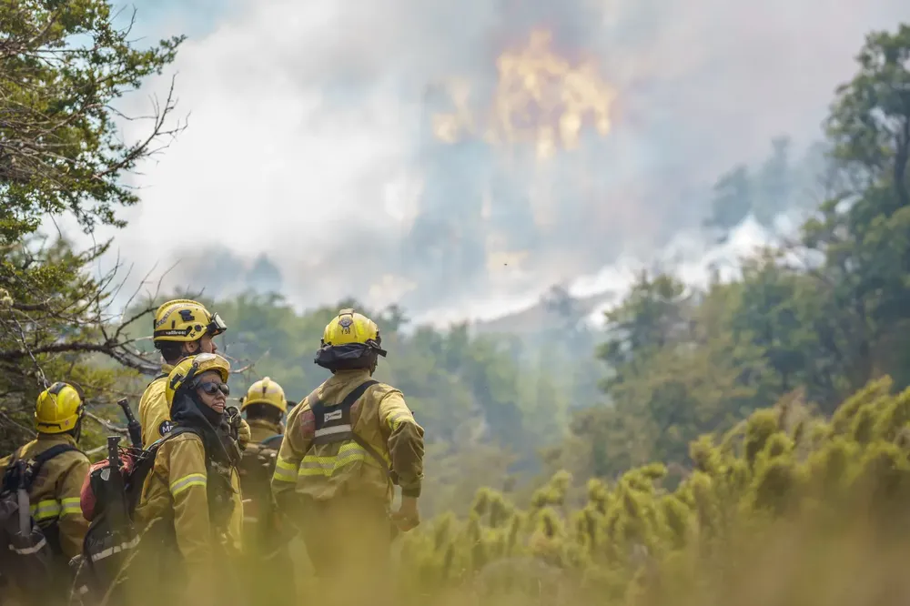 WhatsApp Image 2025-02-03 at 21.49.22