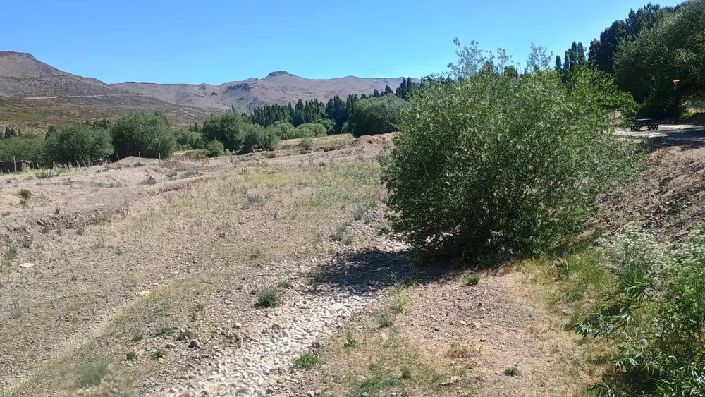 WhatsApp Image 2025-12-03 at 11.12.28 (1)