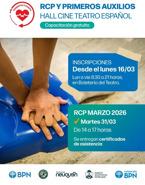 WhatsApp Image 2026-03-13 at 15.56.05