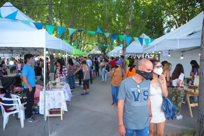 Feria proyecto raíz
