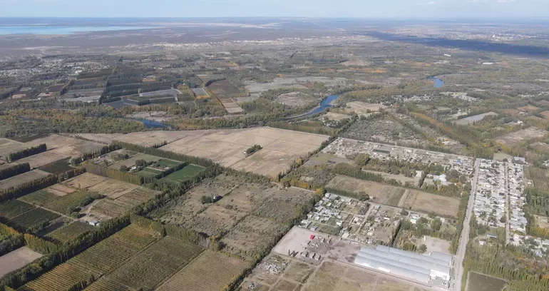 vista-alegre-2-e1771608626195