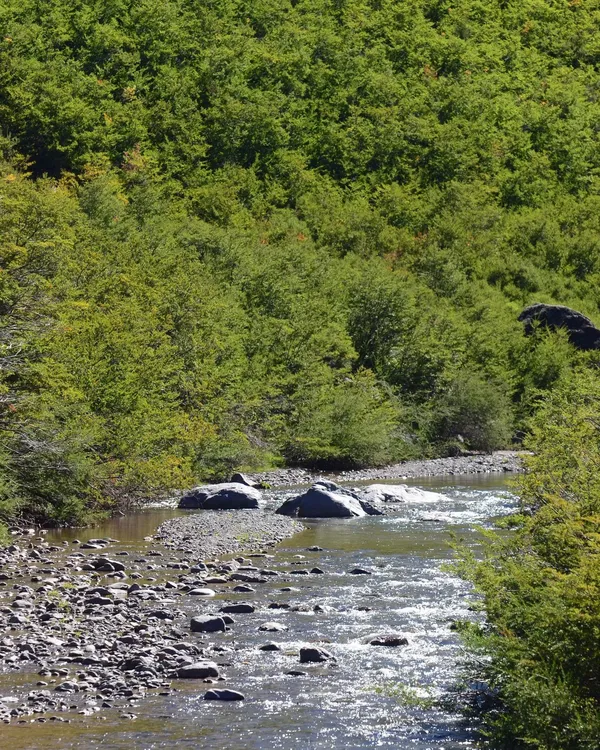 461092126_943101157853386_5688855169813312951_n