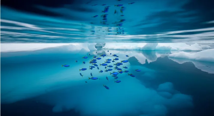 Opera Captura de pantalla_2026-04-01_091945_www.infobae.com