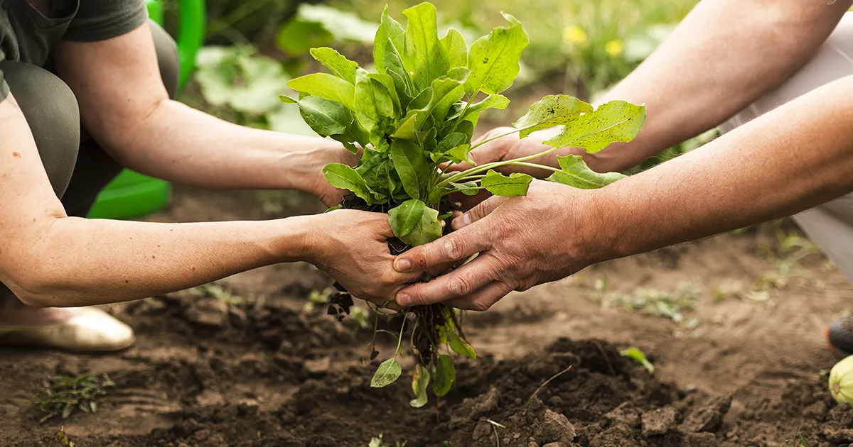 La-agroecologia-1200x754-1