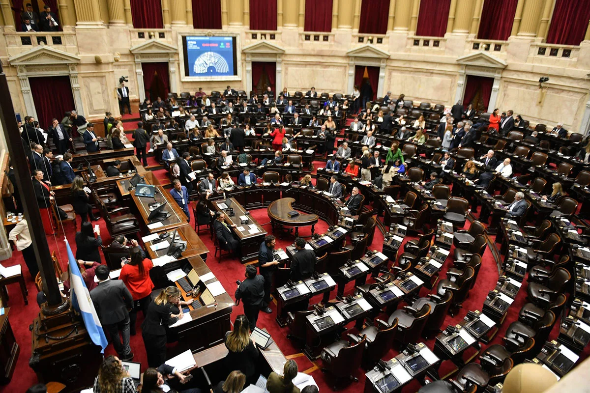 Diputados-trata-hoy-los-vetos-del-presidente-Javier-Milei-a-las-leyes-de-financiamiento-educativo-y-de-emergencia-pediátrica-1