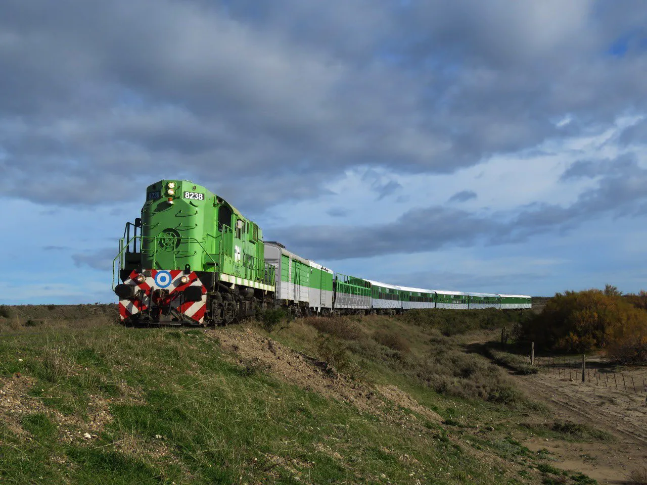tren-patagonico-estepa