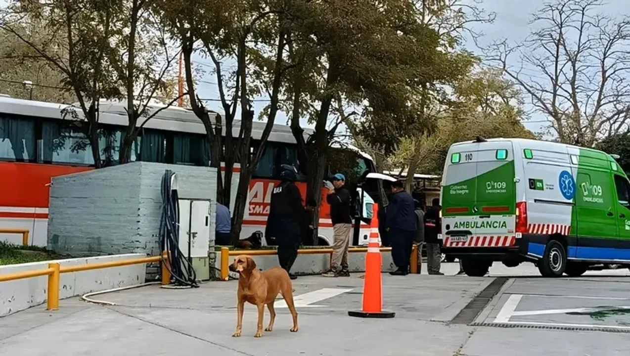 720 (3)