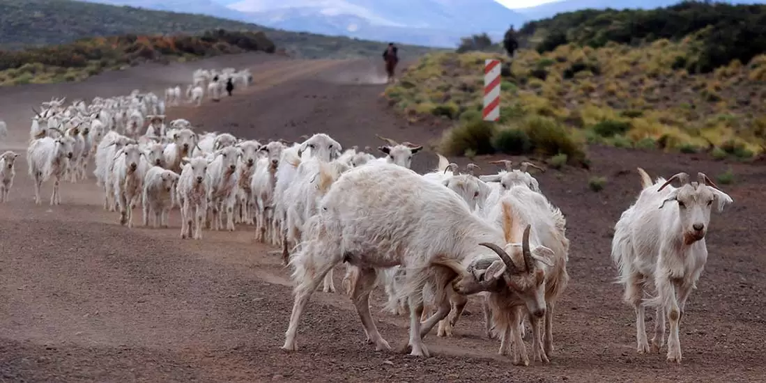 trahumancia-veranada
