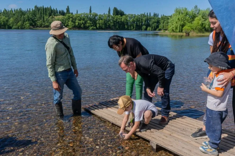 md - 2024-11-01T190848.622