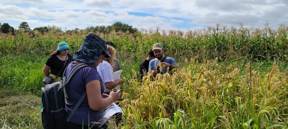 975db6af-2f39-4283-b899-45c1cd4f14bc